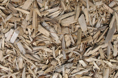 biomass boilers Wigmarsh
